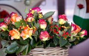bloemen en planten vvbvanbree     1119